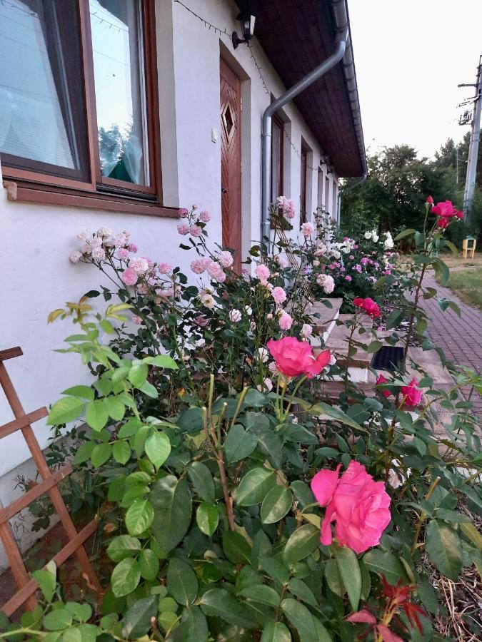 Cichosza - The Sound Of Silence Villa Bialowieza Exterior photo